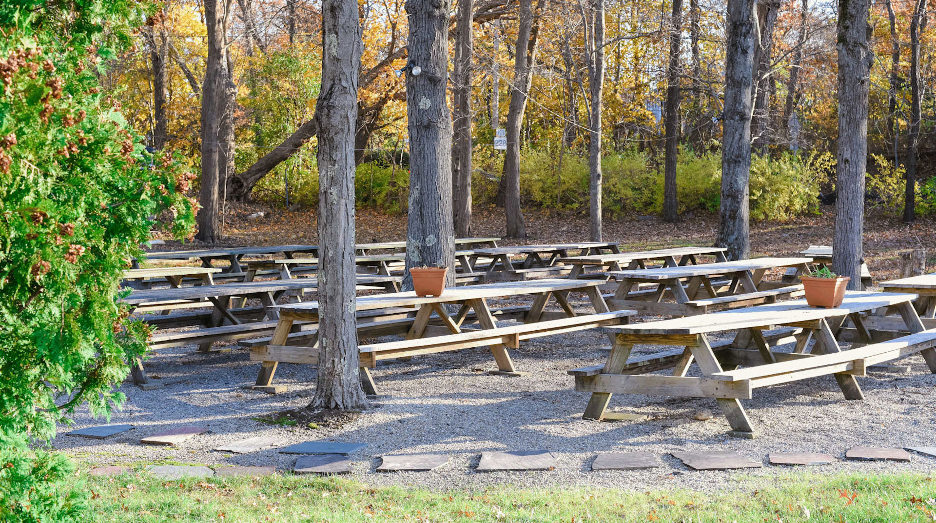 Picnic Tables